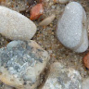 Meet your Posher, T.